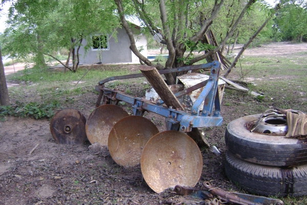 ขายหาง3 และใบมีด