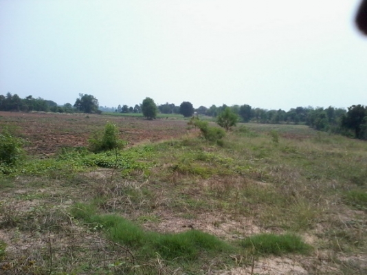 ขายที่ดินทำเลธุรกิจ 15 ไร่1 งาน ติดทางหลวง201 กม.7 อ.สีคิ้ว ขายที่ดินทำเลธุรกิจ 15 ไร่1 งาน ติดทางหลวง201 กม.7 อ.สีคิ้ว