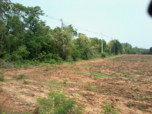 ขายที่ดินทำเลธุรกิจ 15 ไร่1 งาน ติดทางหลวง201 กม.7 อ.สีคิ้ว ขายที่ดินทำเลธุรกิจ 15 ไร่1 งาน ติดทางหลวง201 กม.7 อ.สีคิ้ว