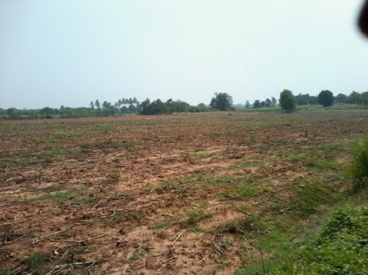 ขายที่ดินทำเลธุรกิจ 15 ไร่1 งาน ติดทางหลวง201 กม.7 อ.สีคิ้ว ขายที่ดินทำเลธุรกิจ 15 ไร่1 งาน ติดทางหลวง201 กม.7 อ.สีคิ้ว