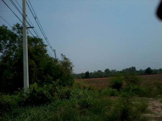 ขายที่ดินทำเลธุรกิจ 15 ไร่1 งาน  ติดทางหลวง201 กม.7 อ.สีคิ้ว