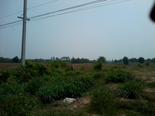 ขายที่ดินทำเลธุรกิจ 15 ไร่1 งาน  ติดทางหลวง201 กม.7 อ.สีคิ้ว