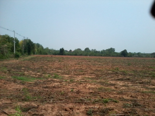 ขายที่ดินทำเลธุรกิจ 15 ไร่1 งาน  ติดทางหลวง201 กม.7 อ.สีคิ้ว