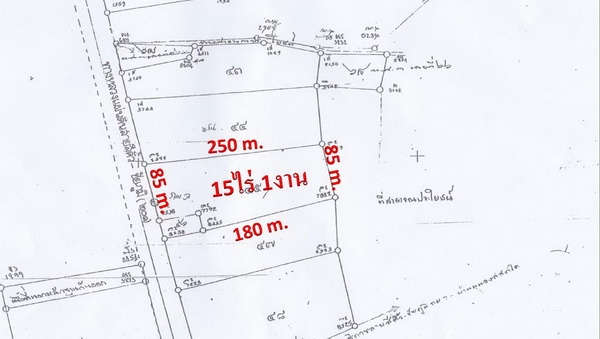 ขายที่ดินทำเลธุรกิจ 15 ไร่1 งาน  ติดทางหลวง201 กม.7 อ.สีคิ้ว
