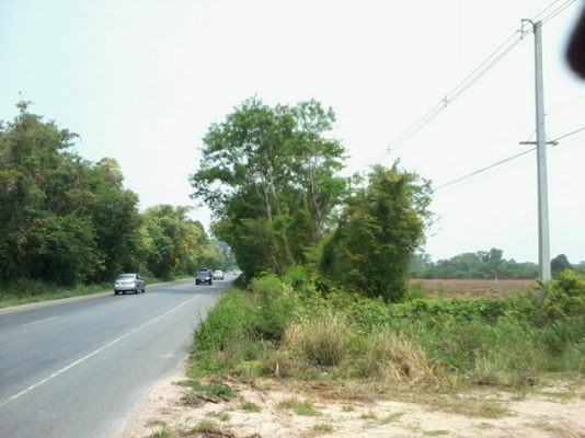 ขายที่ดินทำเลธุรกิจ 15 ไร่1 งาน  ติดทางหลวง201 กม.7 อ.สีคิ้ว