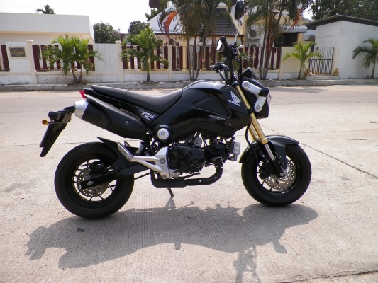ขายดาวน์ HONDA  MSX125cc ไม่ล้มไม่ชน