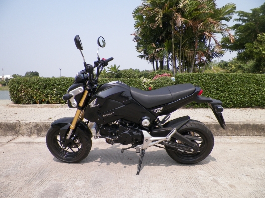 ขายดาวน์ HONDA  MSX125cc ไม่ล้มไม่ชน