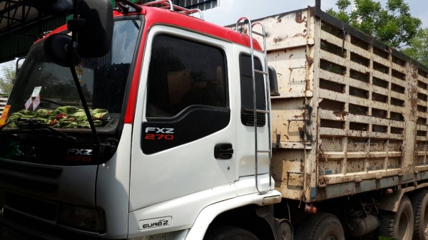 ประกาศนี้ซื้อขายแล้ว! ประกาศนี้ซื้อขายแล้ว!