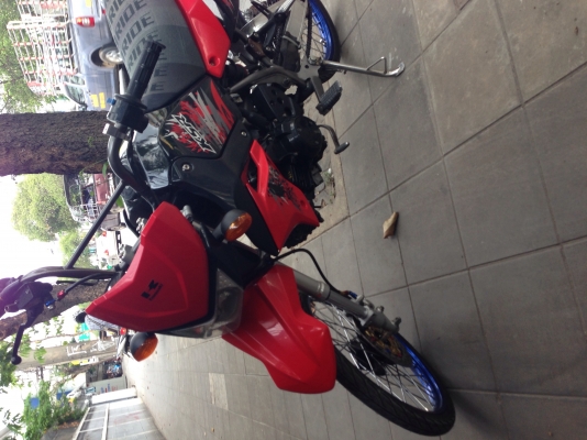 Ksr ลูกเชียร์ล้อ17ซี่โตพร้อมใช้