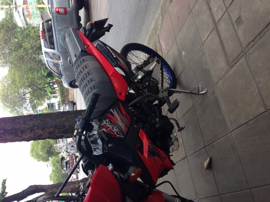 Ksr ลูกเชียร์ล้อ17ซี่โตพร้อมใช้