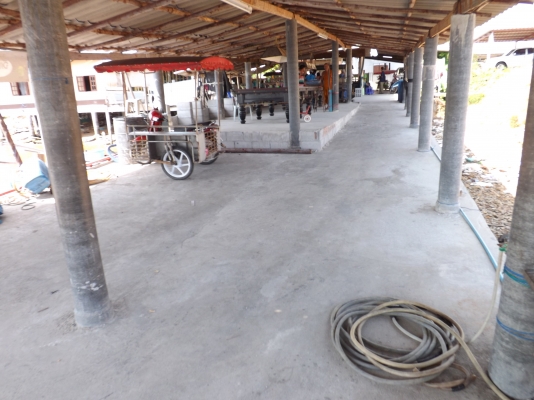 ขายบ้านพร้อมที่ดิน ขนาด 300 ตารางวา มีสะพานเทียบเรือ มีเขื่อนกันคลื่น อยู่หน้าปากคลอง ไม่มีไอน้ำทะเล ขายบ้านพร้อมที่ดิน ขนาด 300 ตารางวา มีสะพานเทียบเรือ มีเขื่อนกันคลื่น อยู่หน้าปากคลอง ไม่มีไอน้ำทะเล