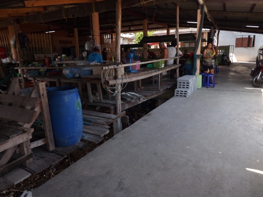 ขายบ้านพร้อมที่ดิน ขนาด 300 ตารางวา มีสะพานเทียบเรือ มีเขื่อนกันคลื่น อยู่หน้าปากคลอง ไม่มีไอน้ำทะเล ขายบ้านพร้อมที่ดิน ขนาด 300 ตารางวา มีสะพานเทียบเรือ มีเขื่อนกันคลื่น อยู่หน้าปากคลอง ไม่มีไอน้ำทะเล