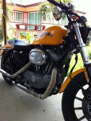 1200. twinplug. อินวอย สพมแท้ทุกฉบับ ปี2000 295,000. 0925499733,0849300148. จ่าอาม