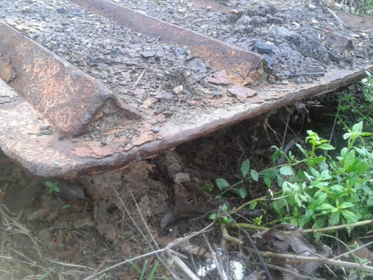 ขาย แผ่นรองแท๊ค   กว้าง  .80X6 เมตร