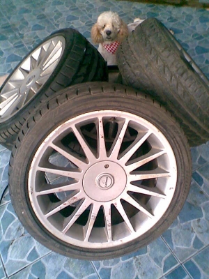 แม็กcarlsson 5 รู รถเบนซ์ ขอบ18