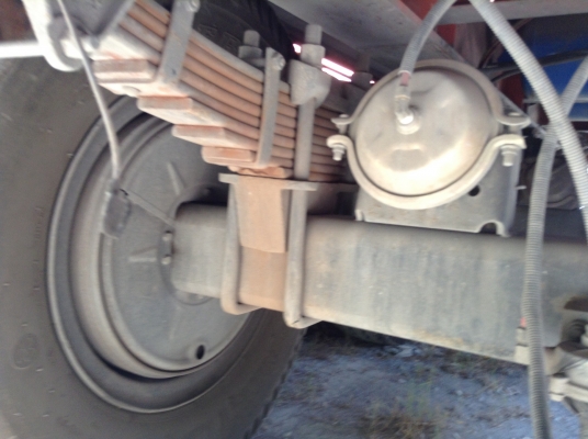 ขายหางพื้น3เพลายัดสามมิตร+พนัส