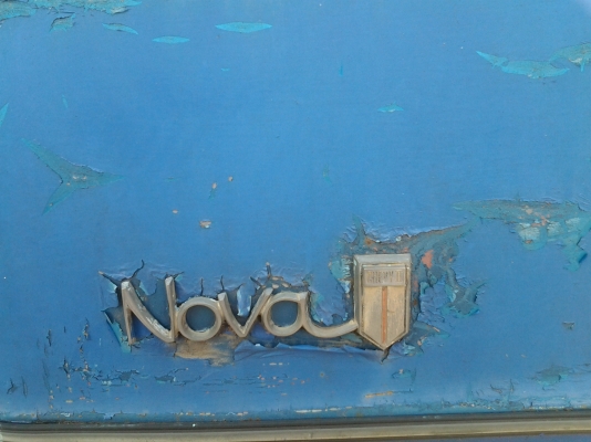 เชพโนว่า  45,000