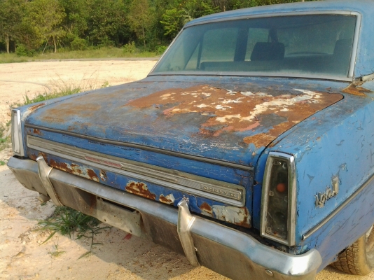 เชพโนว่า  45,000