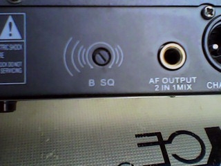 ขายไมค์ลอยคู่