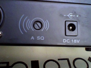 ขายไมค์ลอยคู่