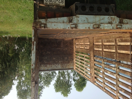 ขายร็อก. 195