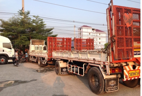 ขาย Hino Mega FG ปี51 ยาว 7.2 เมตร+ลูกพ่วง 6.5 เมตร ขาย Hino Mega FG ปี51 ยาว 7.2 เมตร+ลูกพ่วง 6.5 เมตร