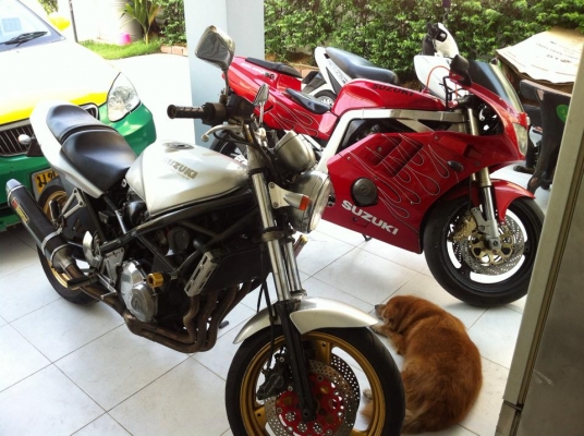 ขาย/แลก SUZUKI GSX R7 // ทะเบียนแท้