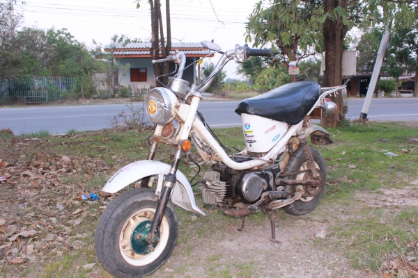 yamaha ชิปปี้ เดิมๆสามเกียร์วน เครื่องดีมาก พร้อมใช้