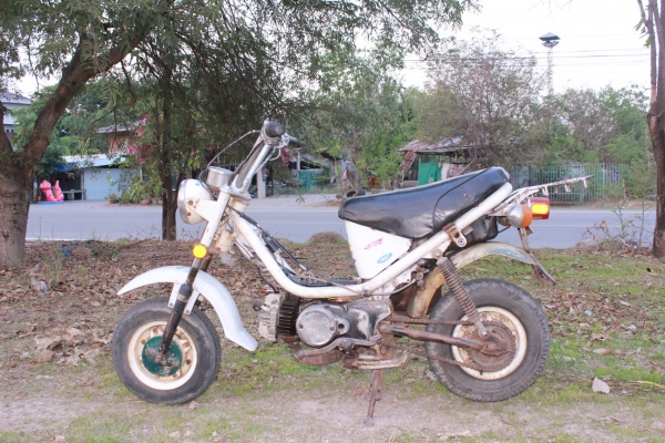 yamaha ชิปปี้ เดิมๆสามเกียร์วน เครื่องดีมาก พร้อมใช้ yamaha ชิปปี้ เดิมๆสามเกียร์วน เครื่องดีมาก พร้อมใช้