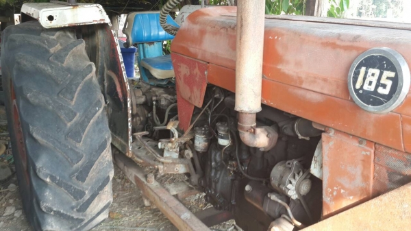 ขายรถไถ massey ferguson 185