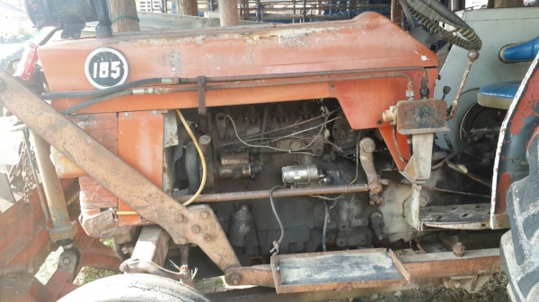 ขายรถไถ massey ferguson 185