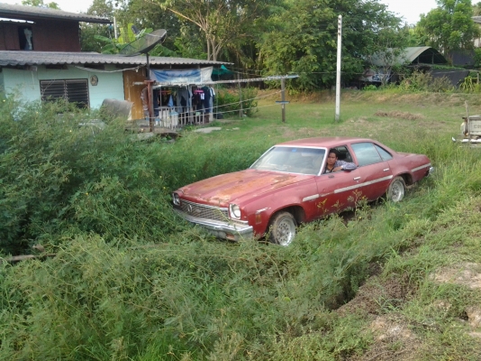 เชพมาลิบูล