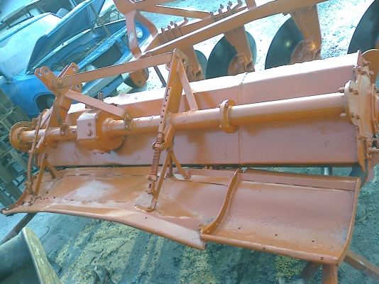 ขายโลตาลี่ขนาดใหญ่ 2.3 เมตร ใบเต็มสวยๆ