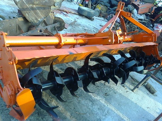 ขายโลตาลี่ขนาดใหญ่ 2.3 เมตร ใบเต็มสวยๆ