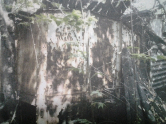 ขอนอกเรื่องคับ ขายเหล็กรางรไฟ ตู้โบกี่รถไฟเก่า กก12.80จำนวนมาก