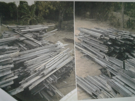 ขายเห็ลกเสาไฟฟ้าน่า4-7ชากจำนวนมาก.ก12.90เหมาและแบ่งคับ