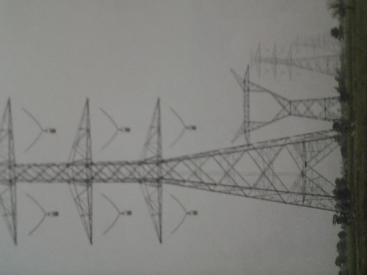 ขายเห็ลกเสาไฟฟ้าน่า4-7ชากจำนวนมาก.ก12.90เหมาและแบ่งคับ ขายเห็ลกเสาไฟฟ้าน่า4-7ชากจำนวนมาก.ก12.90เหมาและแบ่งคับ