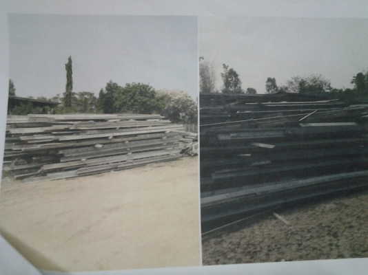 ขายเห็ลกเสาไฟฟ้าน่า4-7ชากจำนวนมาก.ก12.90เหมาและแบ่งคับ ขายเห็ลกเสาไฟฟ้าน่า4-7ชากจำนวนมาก.ก12.90เหมาและแบ่งคับ