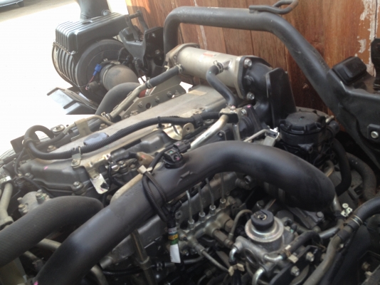 ขายครับสวยๆเลย รถห้างเดิมๆ ISUZU FRR เครื่อง 210 แรงระบบน้ำมัน กระบะคาร์โก้ รถห้างเดิม คัชซี MP1FRR พร้อมเล่มทะเบียนครับ