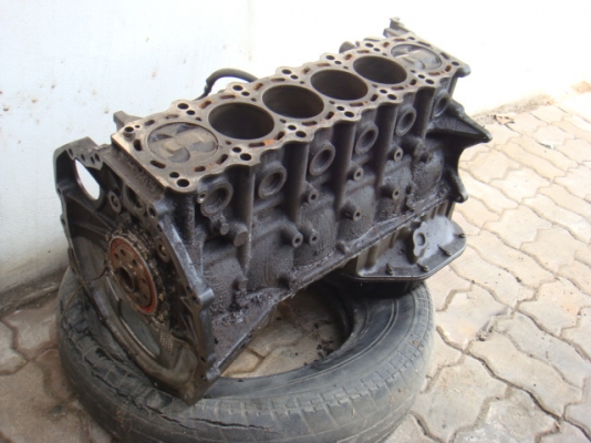 ชายแล้ว