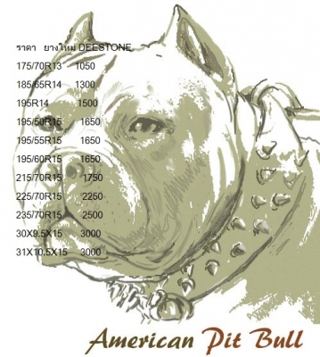 จำหน่ายยางรถยนต์ ใหม่