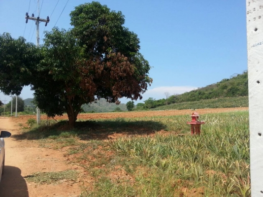 ขายที่ดิน 9 ไร่ครับ มี   2 แปลง รวมทั้งหมด 18 ไร่ พื่้นที่สวยด้านหลังติดภูเขาราคาถูกๆ