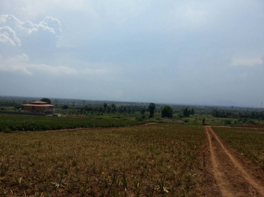 ขายที่ดิน 9 ไร่ครับ มี   2 แปลง รวมทั้งหมด 18 ไร่ พื่้นที่สวยด้านหลังติดภูเขาราคาถูกๆ