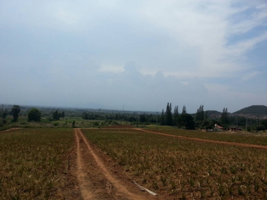 ขายที่ดิน 9 ไร่ครับ มี   2 แปลง รวมทั้งหมด 18 ไร่ พื่้นที่สวยด้านหลังติดภูเขาราคาถูกๆ