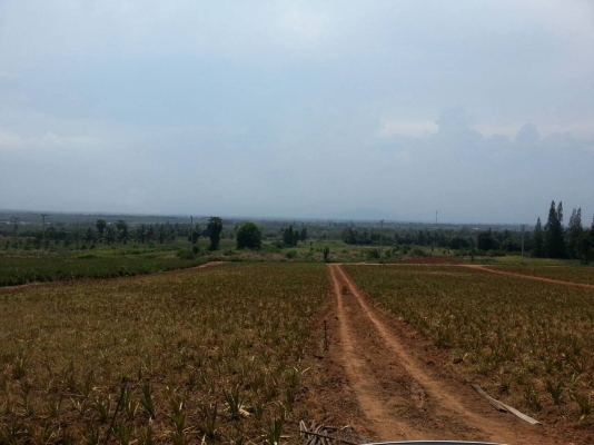 ขายที่ดิน 9 ไร่ครับ มี   2 แปลง รวมทั้งหมด 18 ไร่ พื่้นที่สวยด้านหลังติดภูเขาราคาถูกๆ