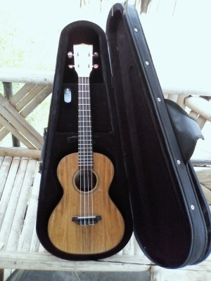 ขาย Ukulele mango concert Kala band