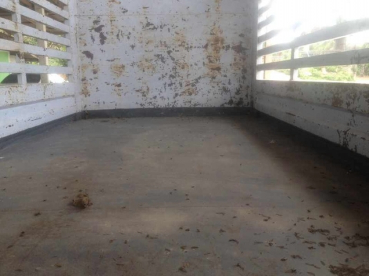 รถฮีโน่ 6 ล้อ รั้ว  ( ไม่ดั้ม )  FC4J  145 แรงม้า. ปี 40  สนใจติดต่อ  081 - 6079515