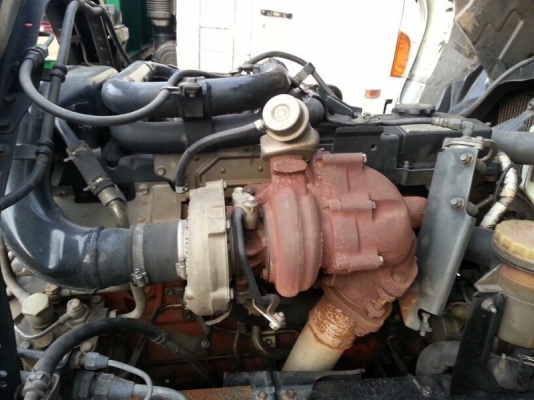 รถอีซูซุ 10 ล้อ  230 แรงม้า. ปี 50  ( ขายหัว , คัชซี )  สนใจติดต่อ 081 - 6079515