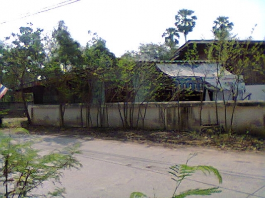 ขายที่ดิน อ.เขาย้อย จ.เพชรบุรี พร้อมบ้านและมีห้องเช่าให้อีก10ห้อง มี1ไร่28วาครับ