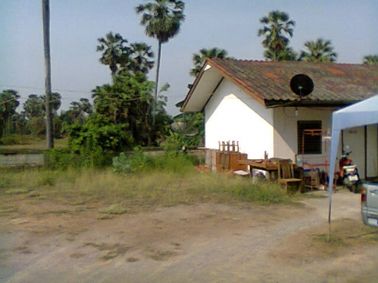 ขายที่ดิน อ.เขาย้อย จ.เพชรบุรี พร้อมบ้านและมีห้องเช่าให้อีก10ห้อง มี1ไร่28วาครับ